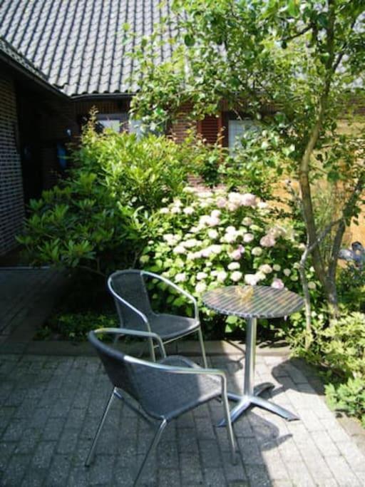 Studio Bed & Strand Scharendijke Exterior photo